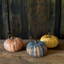 Load image into Gallery viewer, Autumn Garden Pumpkins, Set of 3
