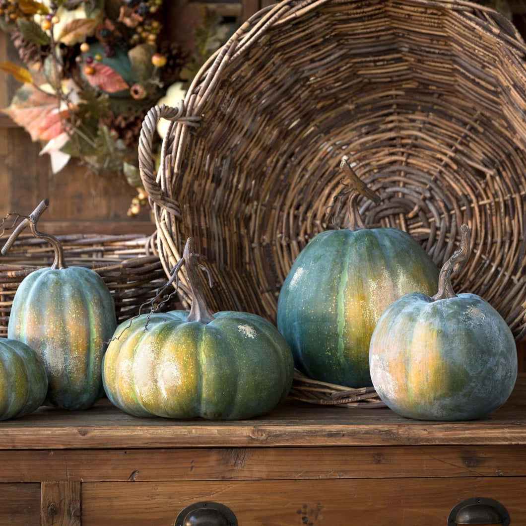 Early Green Pumpkin Collection, Set of 5