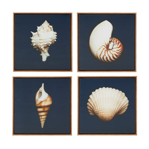 Ocean Seashells - Blue Ocean Blue Framed Canvas 4 pc/set
