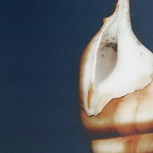 Load image into Gallery viewer, Ocean Seashells - Blue Ocean Blue Framed Canvas 4 pc/set
