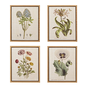 Herbal Botany Framed Linen Canvas, Set of 4