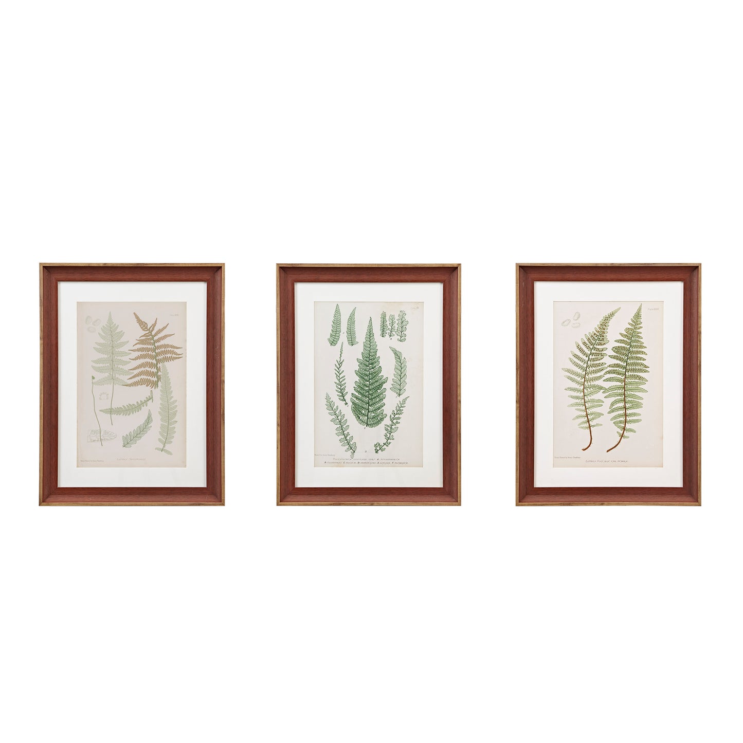Lady Fern Collection - Green 3Pc 16X22 Single Mat Set - Collection