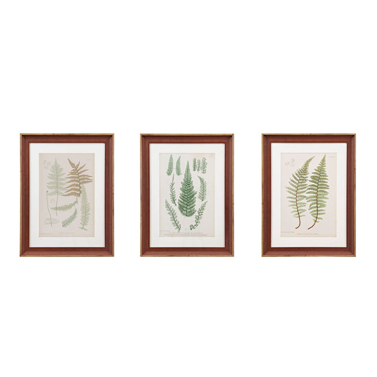 Lady Fern Collection - Green 3Pc 16X22 Single Mat Set - Collection