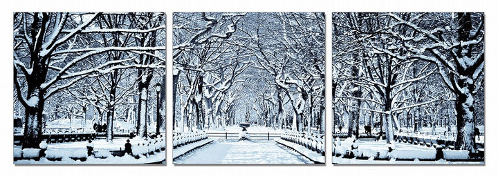 Modrest Winter Trees 3-Panel Photo