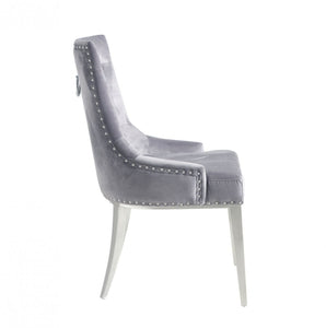 Modrest Dumas - Contemporary Grey Velvet & Stainless Steel Dining Chair (Set of 2)