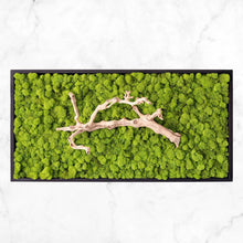 Load image into Gallery viewer, Grapevine Root &amp; Moss Wall Art
