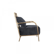 Load image into Gallery viewer, Divani Casa Ignacio - Glam Black Velvet &amp; Gold Accent Chair
